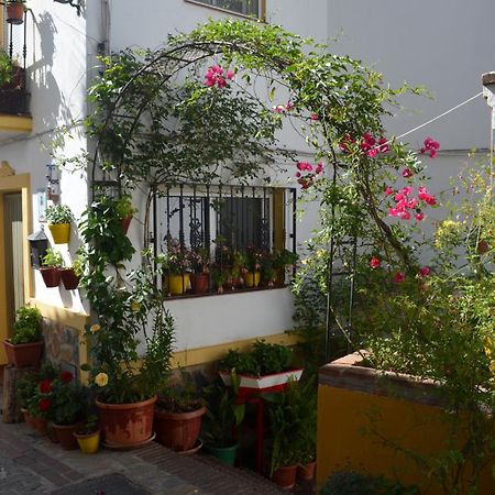 Finca El Molino De Aceite Jubrique Buitenkant foto