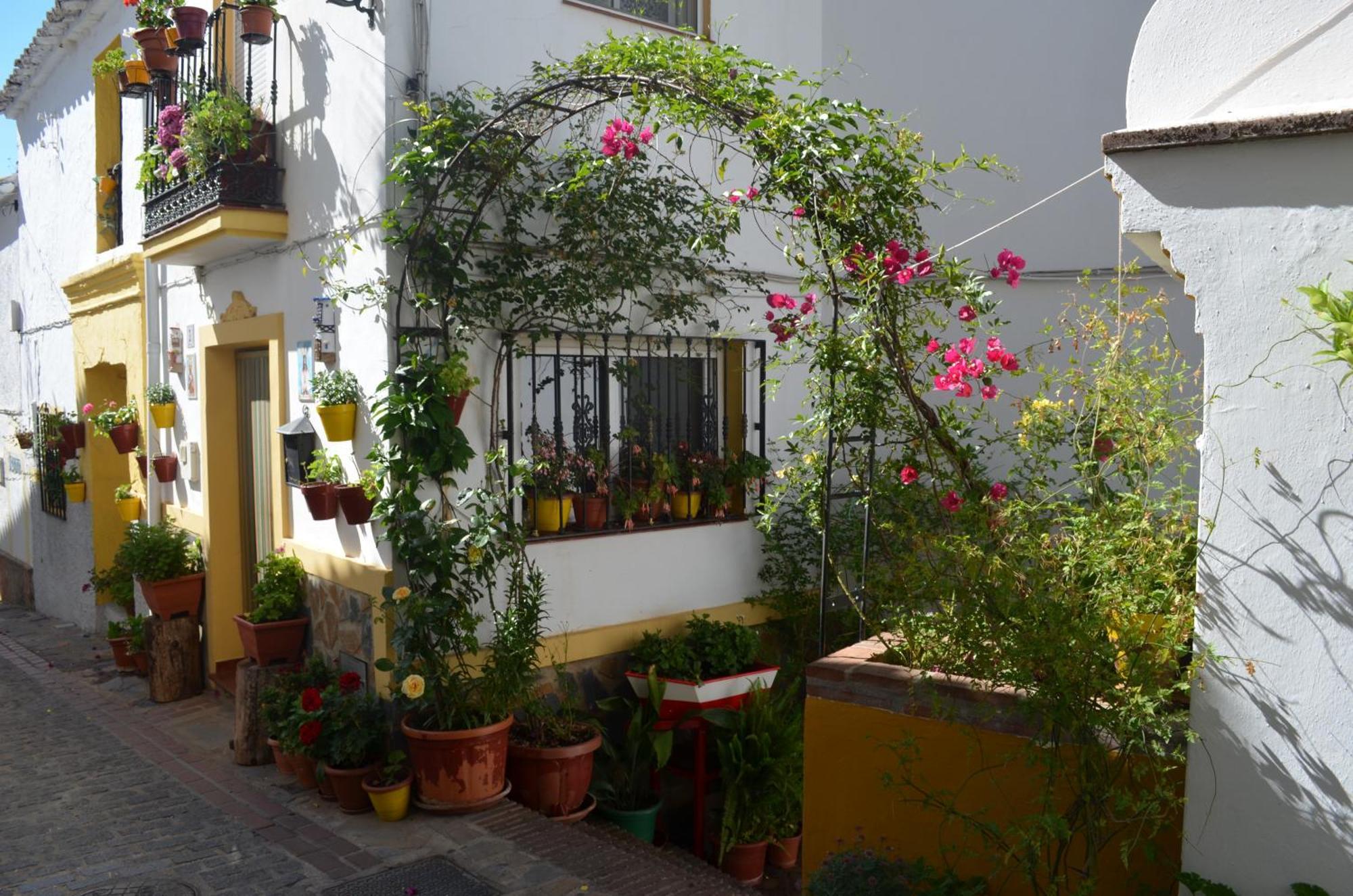 Finca El Molino De Aceite Jubrique Buitenkant foto