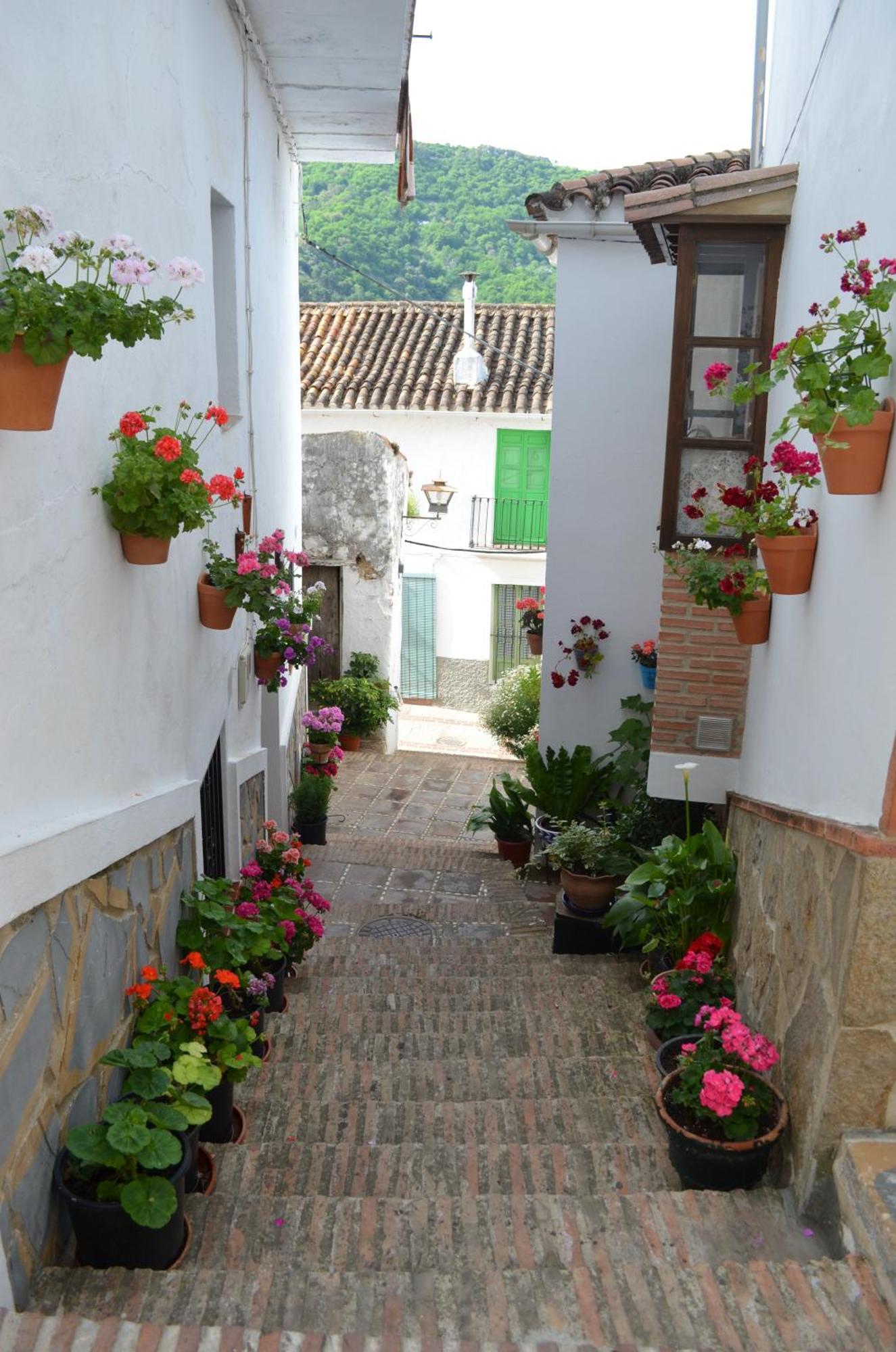 Finca El Molino De Aceite Jubrique Buitenkant foto