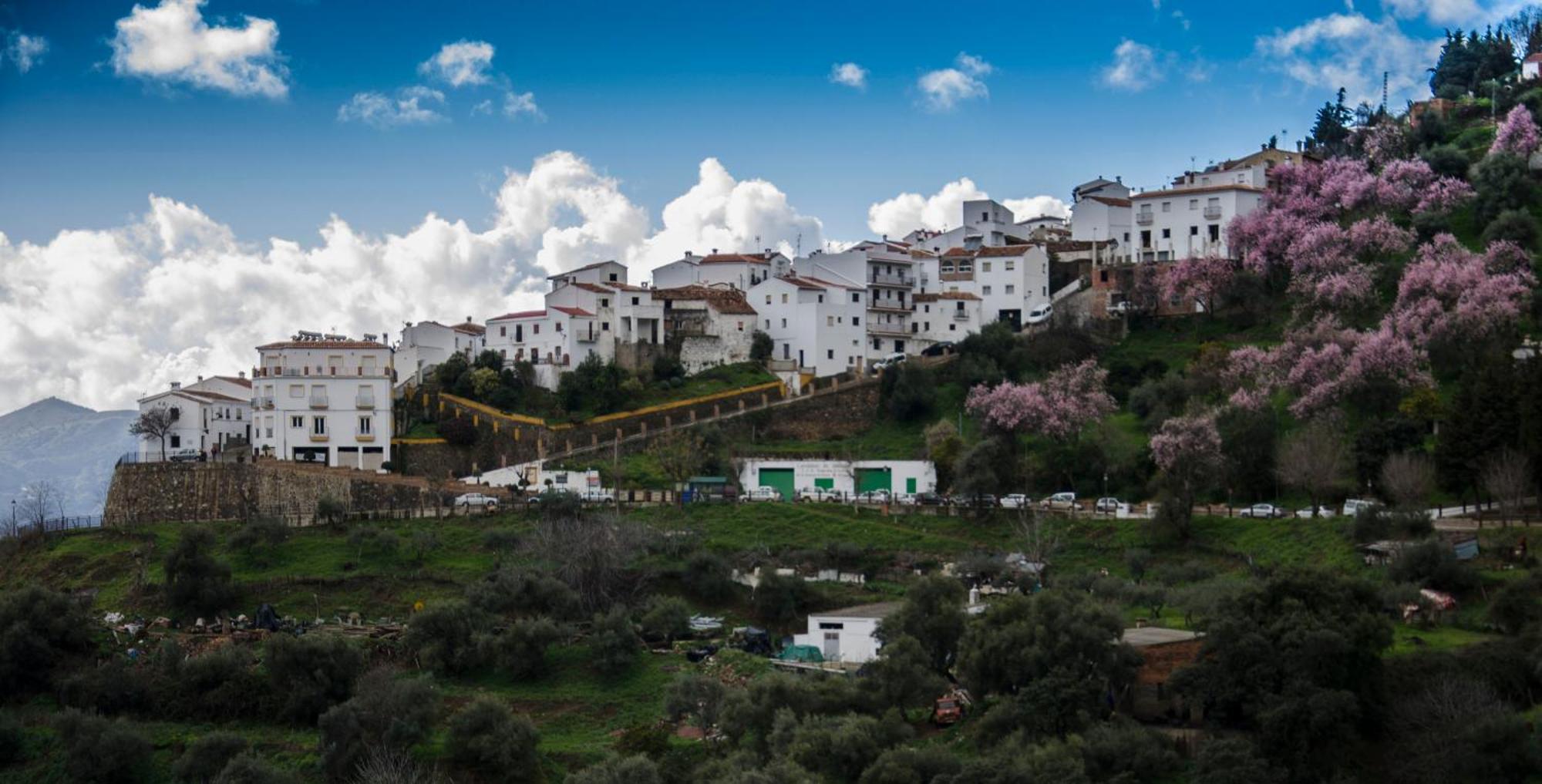 Finca El Molino De Aceite Jubrique Buitenkant foto