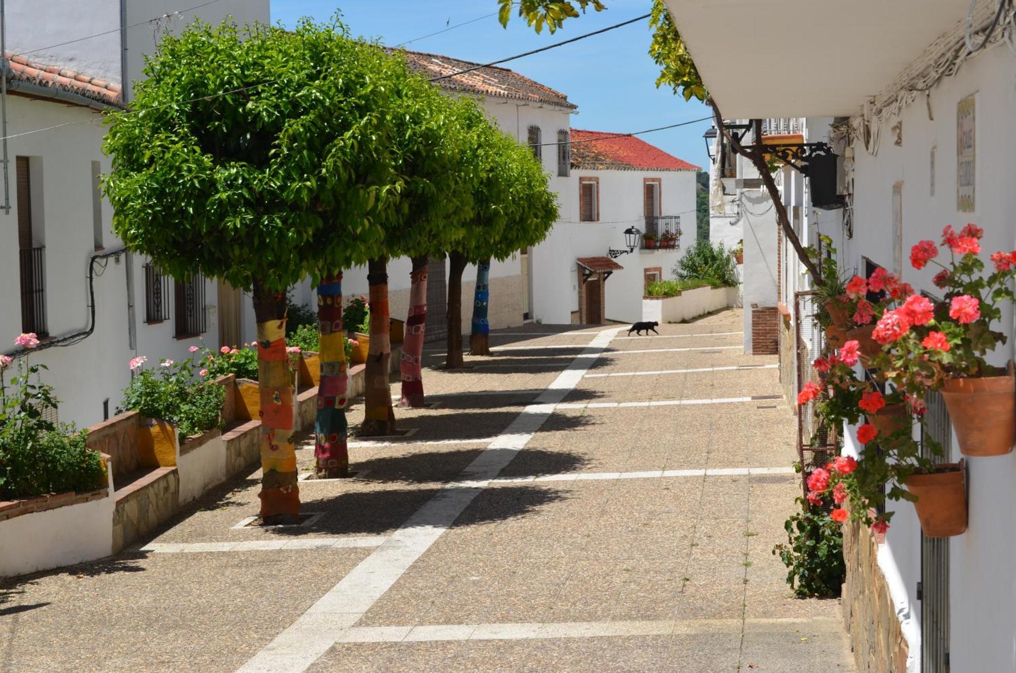 Finca El Molino De Aceite Jubrique Buitenkant foto