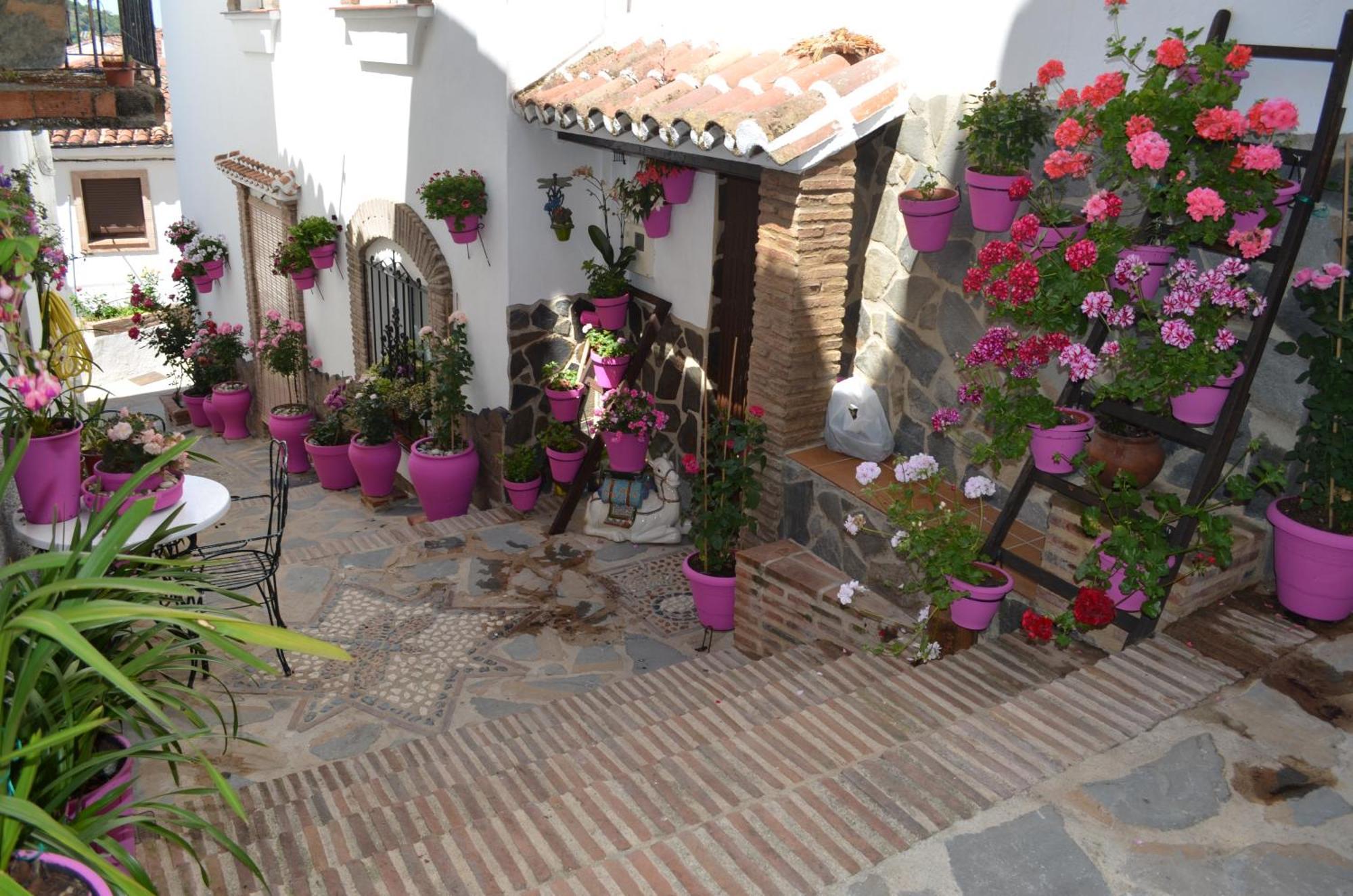 Finca El Molino De Aceite Jubrique Buitenkant foto